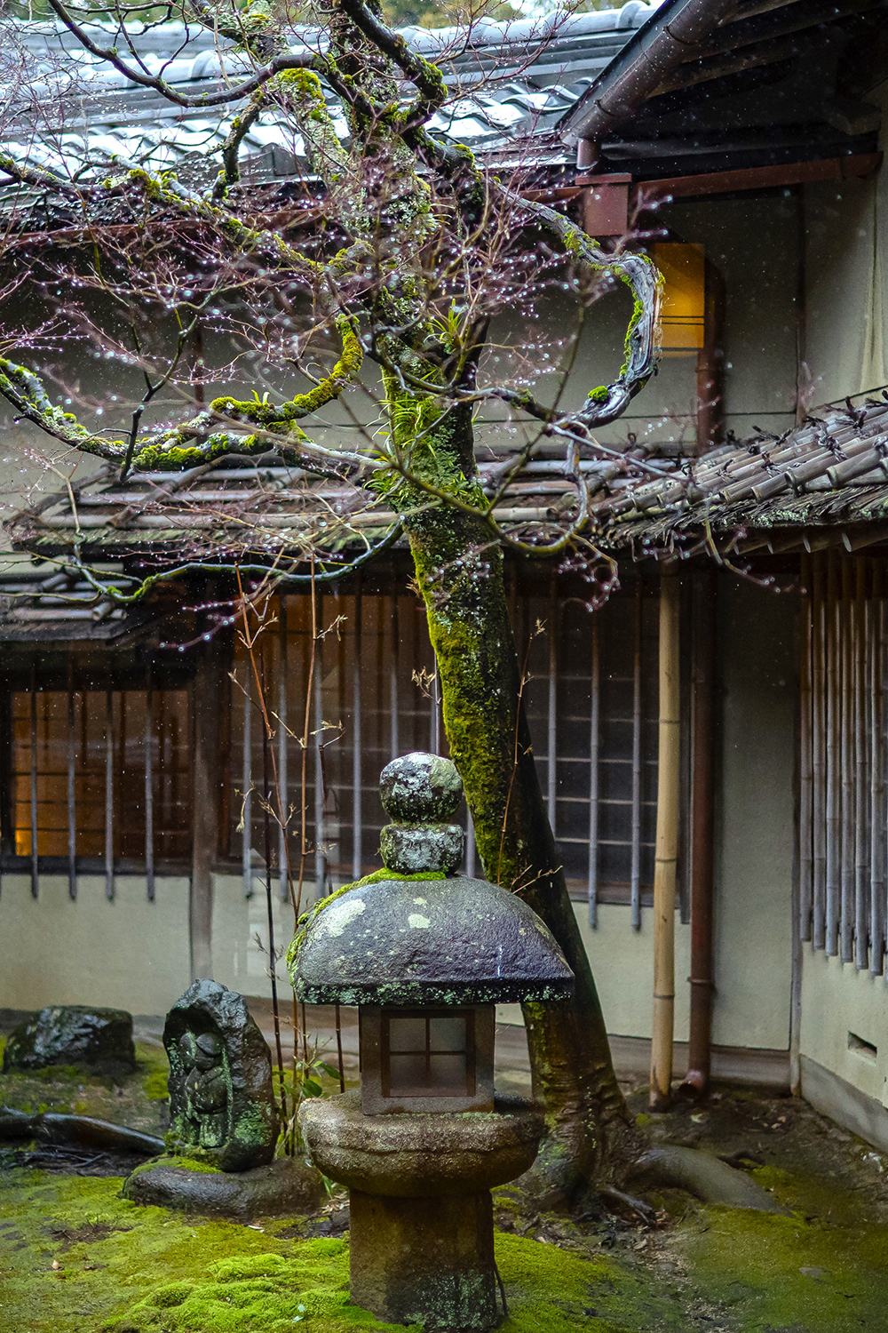 視覚と心を奪う京都美の結晶