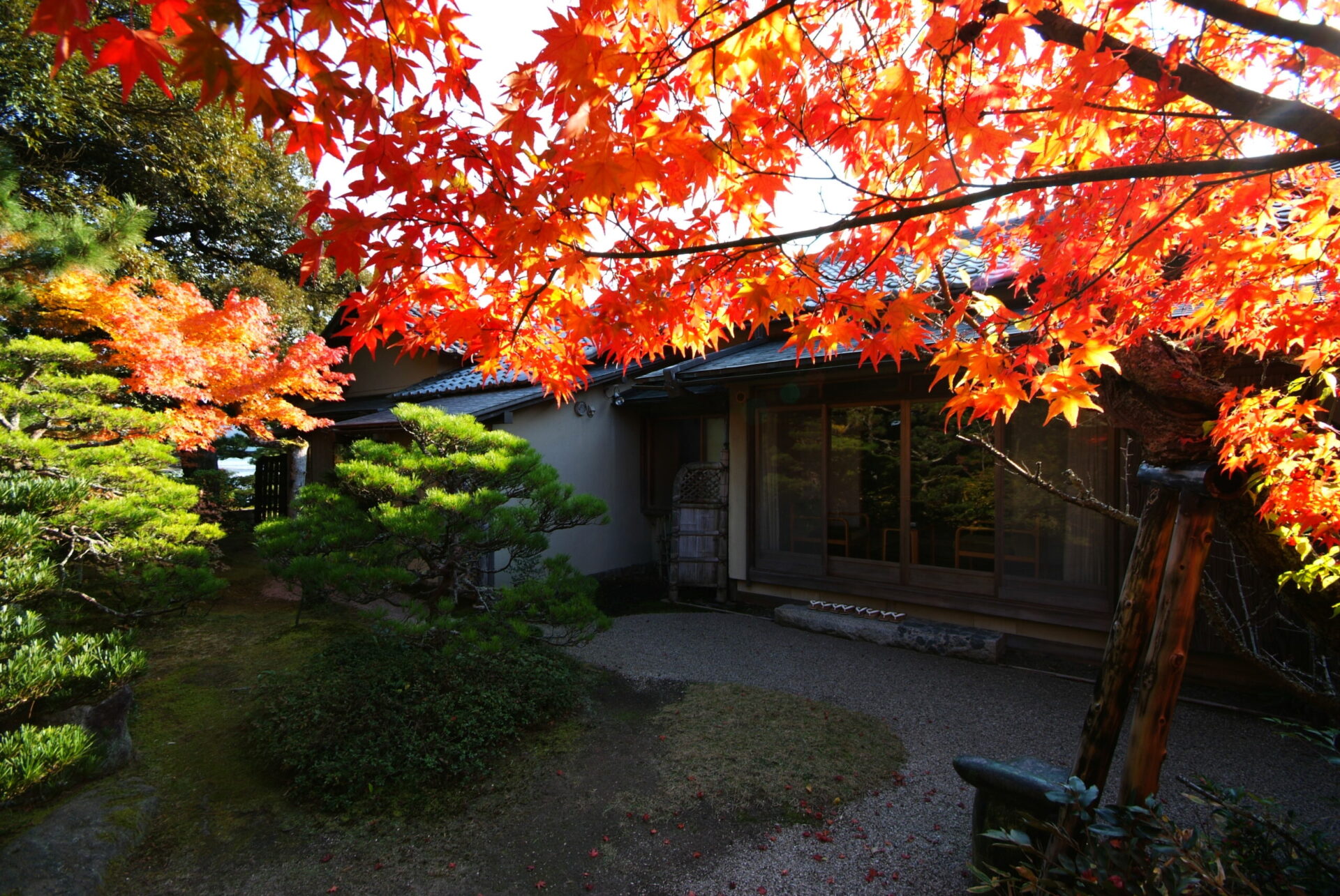 宿泊約款
