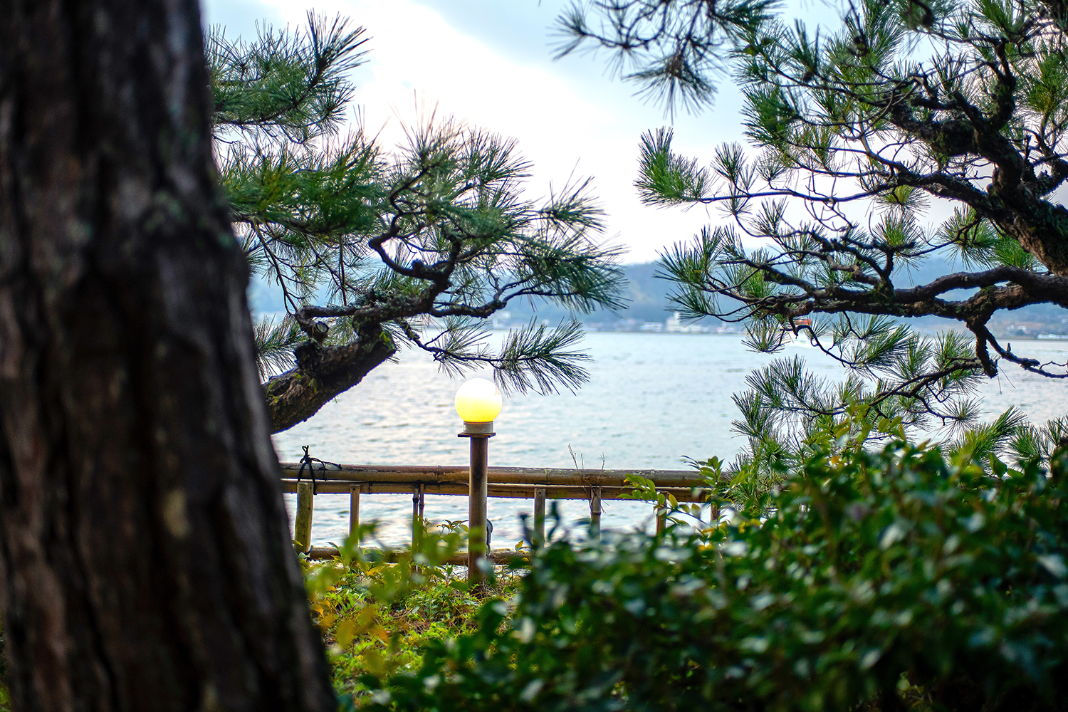 奥深い茶室としての「雲井の間」